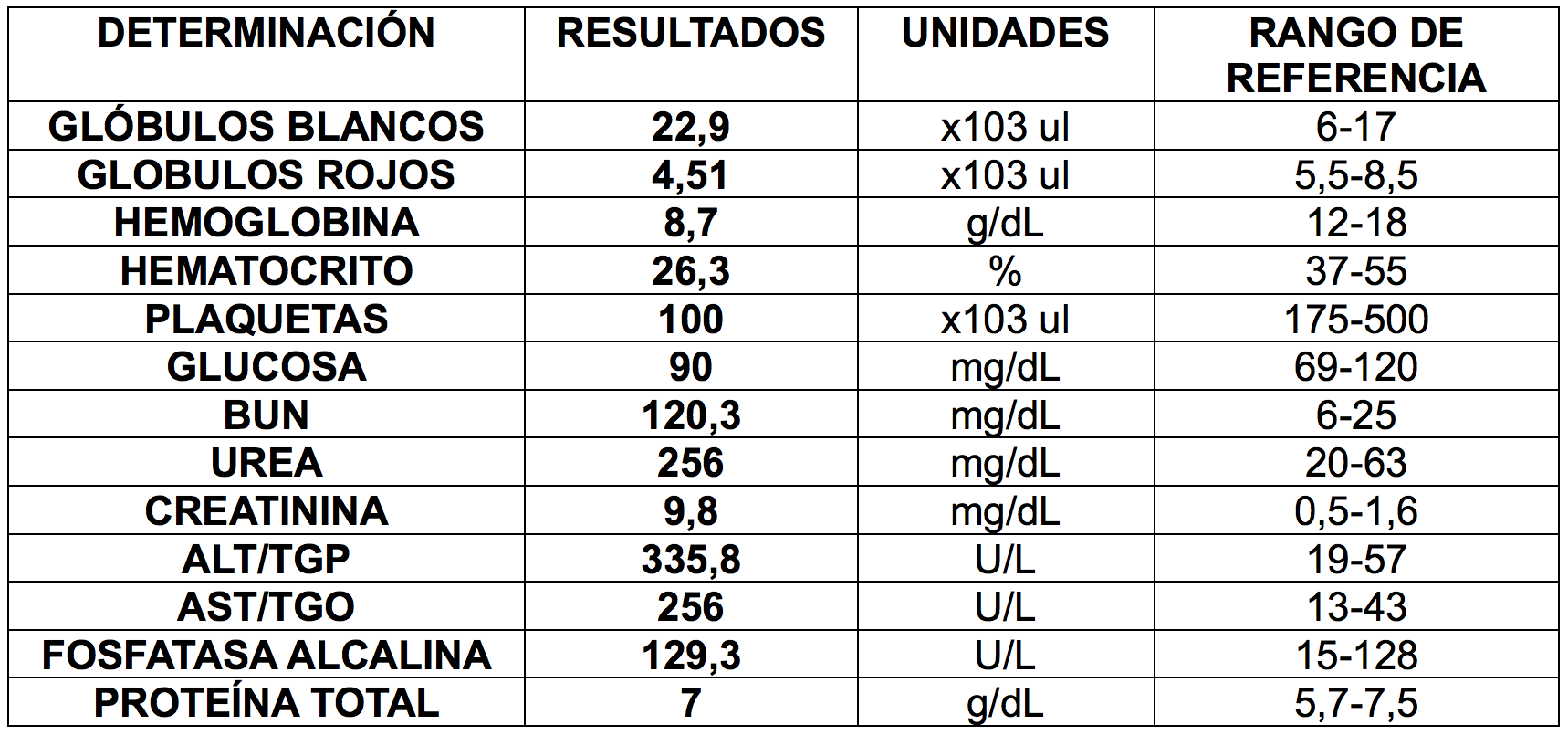 Importancia de la Química Sanguínea en la práctica diaria